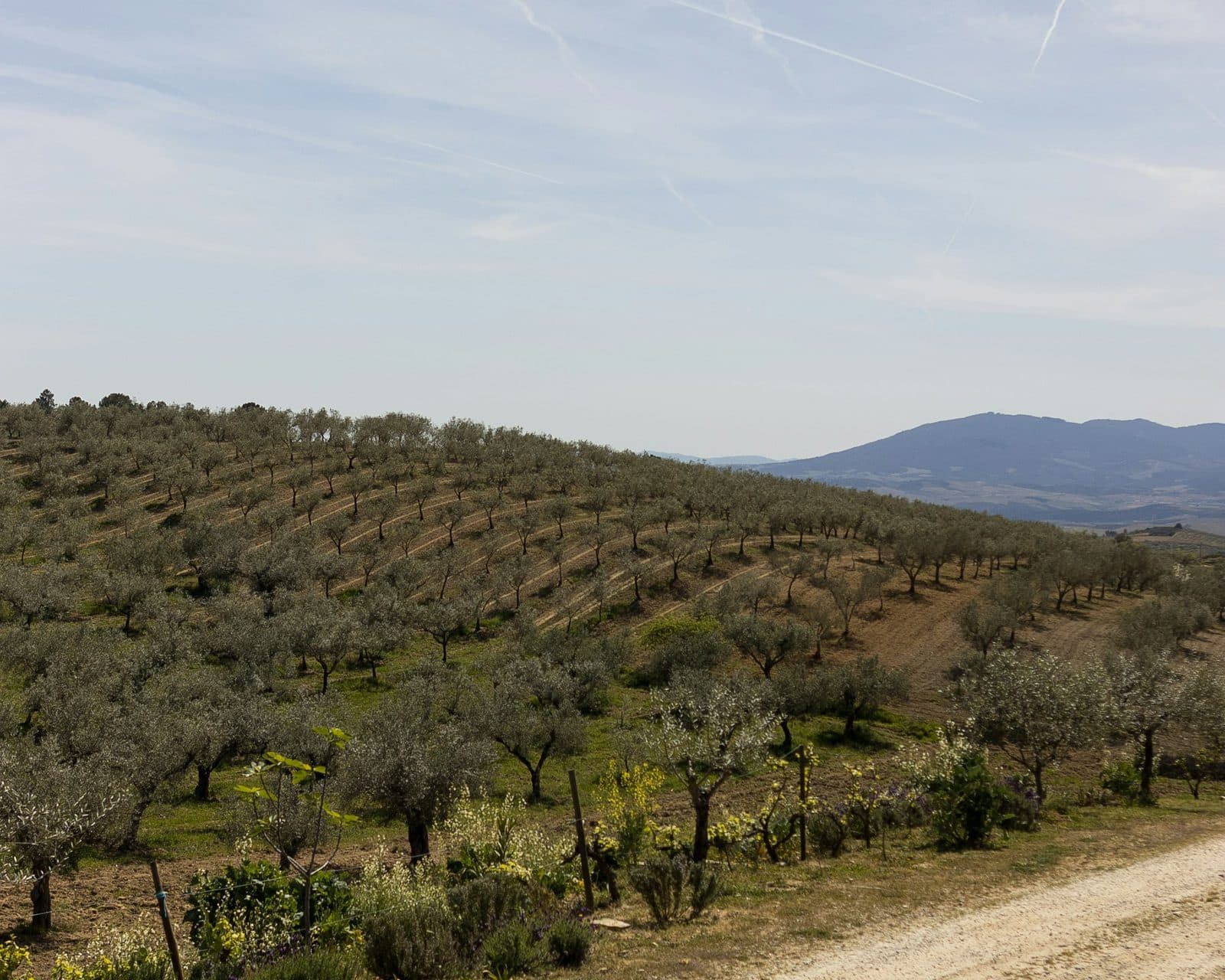 Hai un immobile in Sicilia orientale?